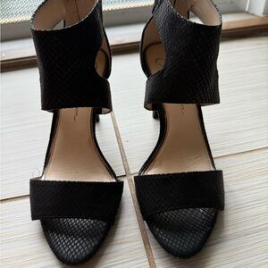Elegant Black Women's Heels